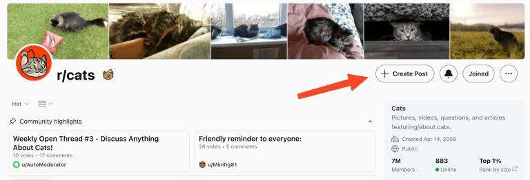 How to Post on Reddit: A Step-by-Step Guide - REDUV