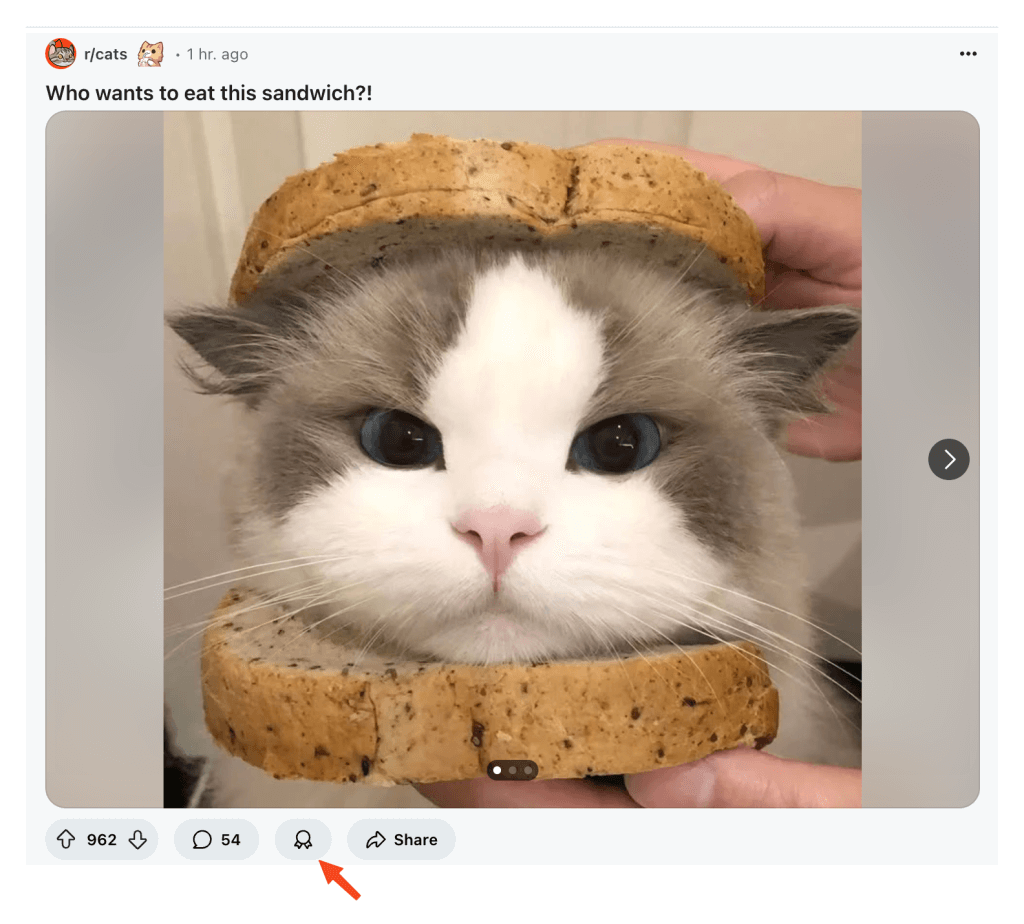 Reddit Awards: A Comprehensive Guide 5 SCR 20250116 jxpt